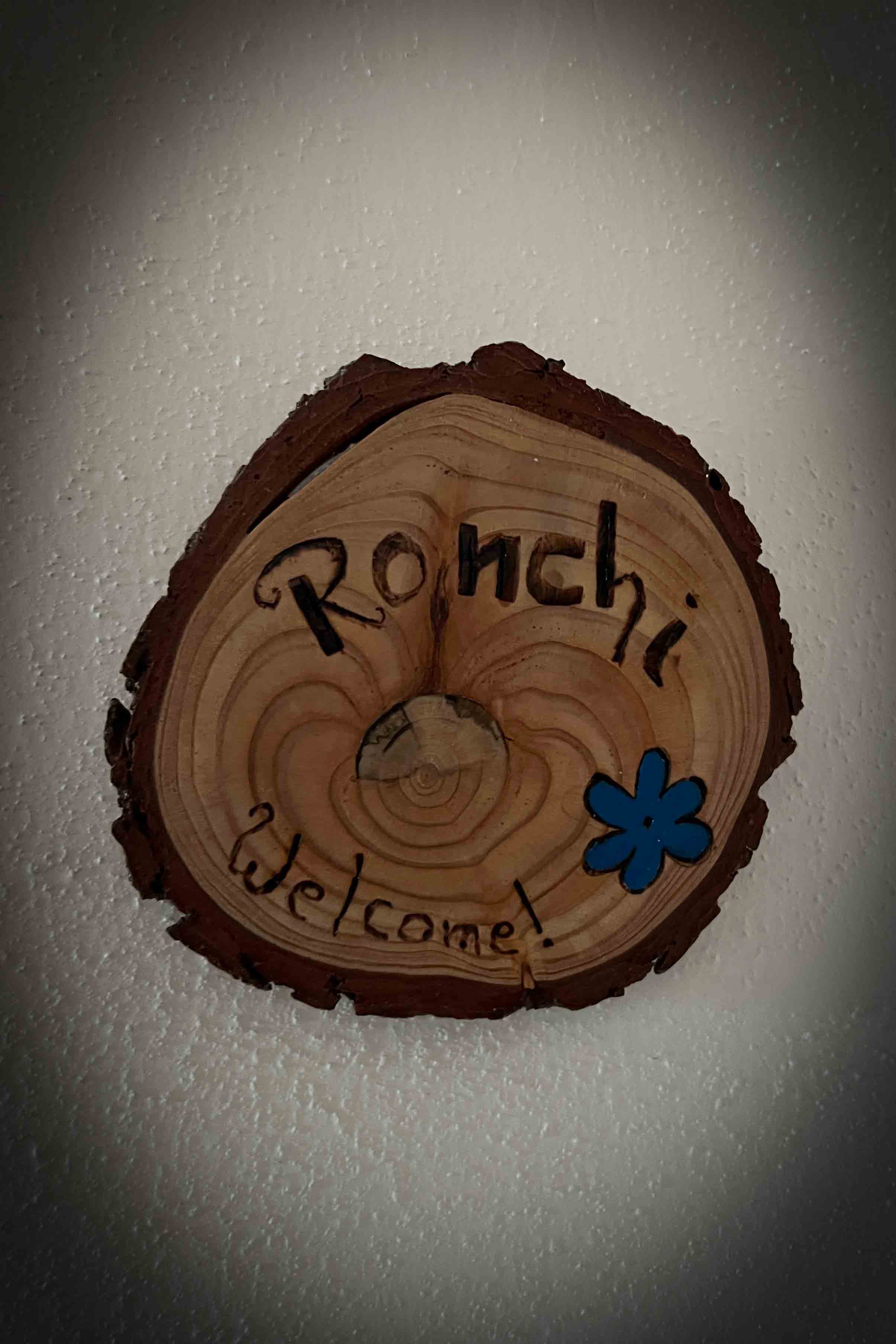 Camera Ronchi. Cartello ingresso elegante in legno.